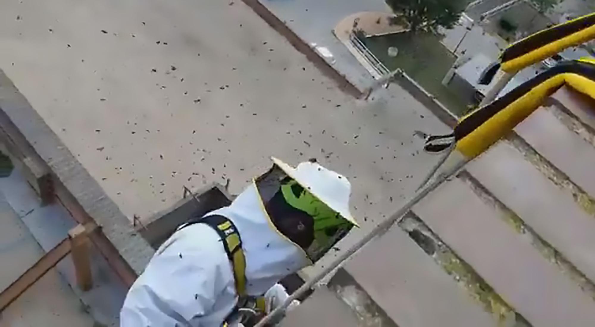 Fireman Remove Bees At COVID-Hit Hospital