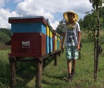 Read more about the article Schoolboy Is Youngest Beekeeper