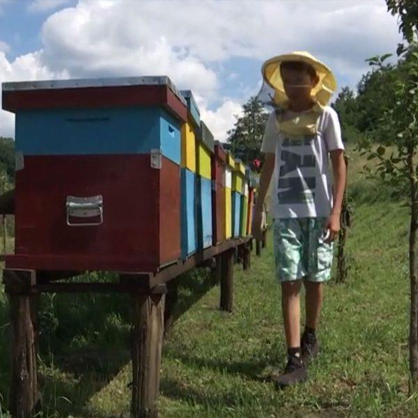 Schoolboy Is Youngest Beekeeper