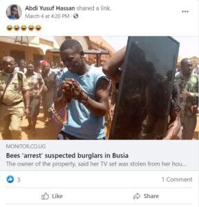 Read more about the article Bees Arrest Thieves After Victim Hires Witch Doctor – FALSE