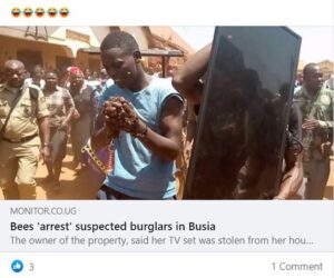Bees Arrest Thieves After Victim Hires Witch Doctor – FALSE