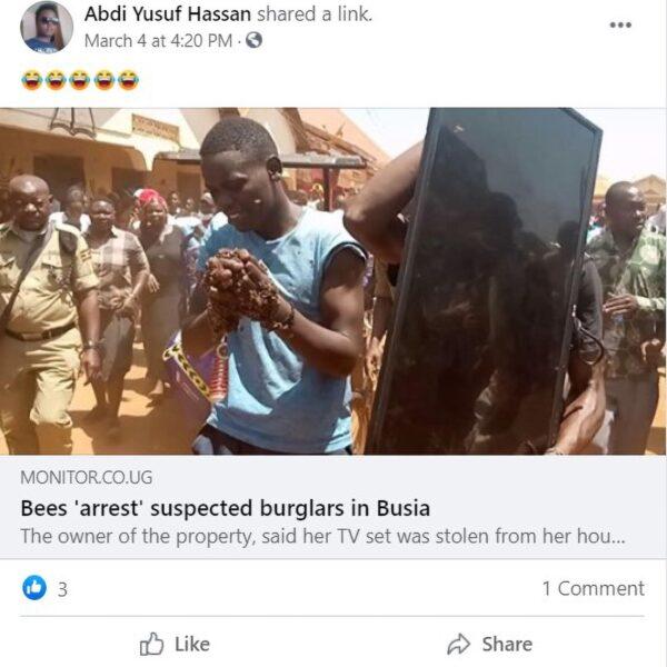 Bees Arrest Thieves After Victim Hires Witch Doctor – FALSE