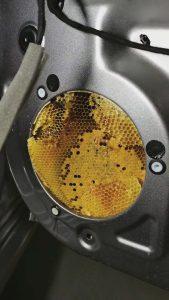 Read more about the article Buzzing In Car Stereo Was Colony Of Bees