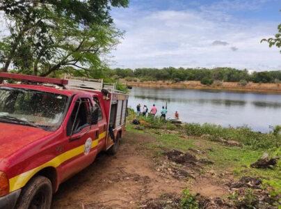 Read more about the article Man Jumps Into Piranha Filled Lake To Escape Bees