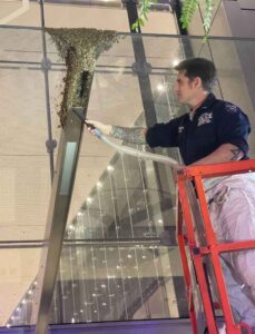 Read more about the article NYPD Remove Bees From Side Of 3 World Trade Center
