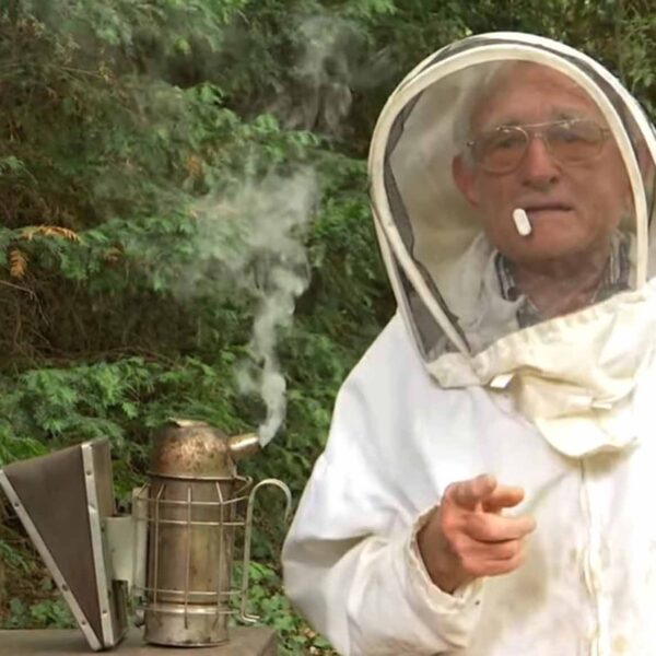 90-Year-Old Beekeeper Claims Stings Boost His Immune System