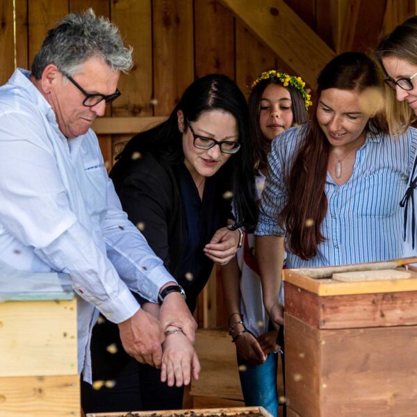 EUR 100 Bonus For Beekeeping Newbies In Austrian Town