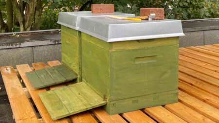 Read more about the article Eco-Minded Publishing House Installs Beehives On HQ Roof