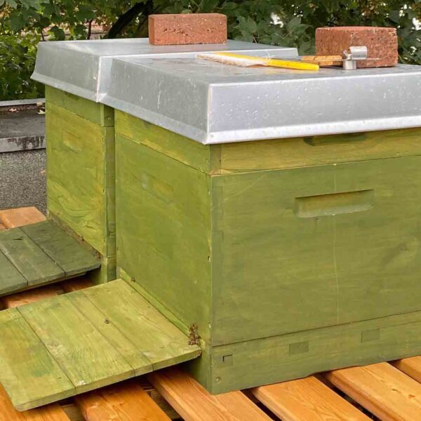 Eco-Minded Publishing House Installs Beehives On HQ Roof