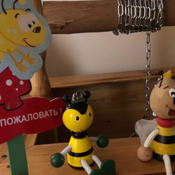 Russia Announces Plans To Open Bee Museum In 2023