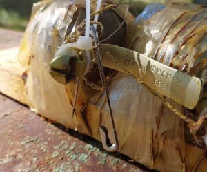 Russian Booby Trap Installed in Ukrainian Beehive Was Defused By Bees