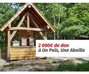 New Refuge For Carpenter Bees In French Forest