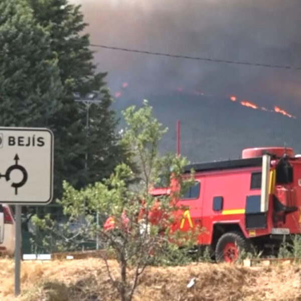 Spanish Beekeepers Struggle After Summertime Fires
