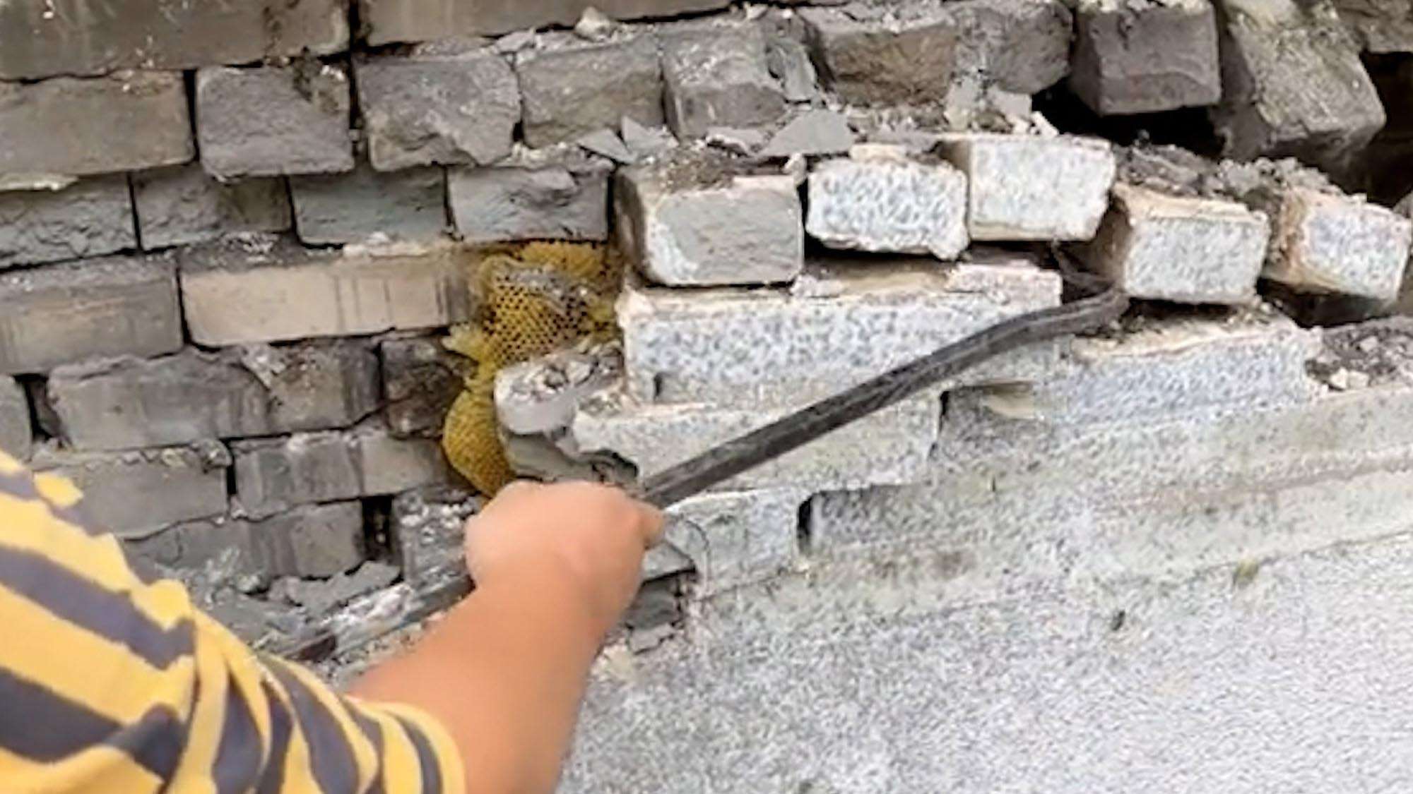Builder Finds Huge Honeycombs Under Demolished House
