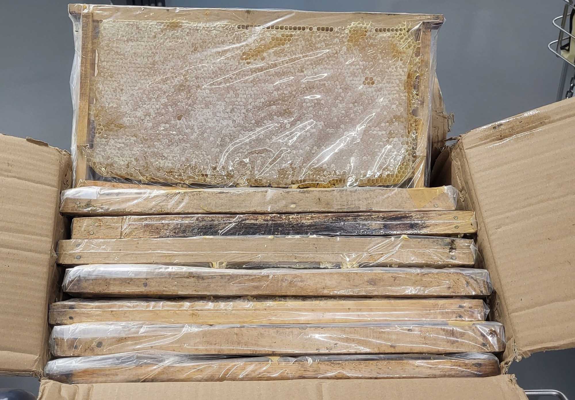 Man Seized Trafficking 900lbs Of Illegal Honey