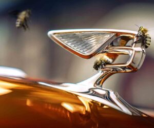 Bumper Year For Bentley’s Bees