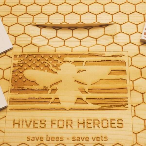 Beekeeping Charity Helps US Army Veterans To Get Back On Track