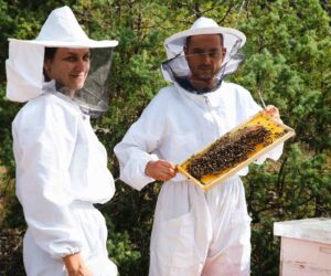 How A Couple Turned Their Small Bee Farm Into A Booming Apitherapy Centre