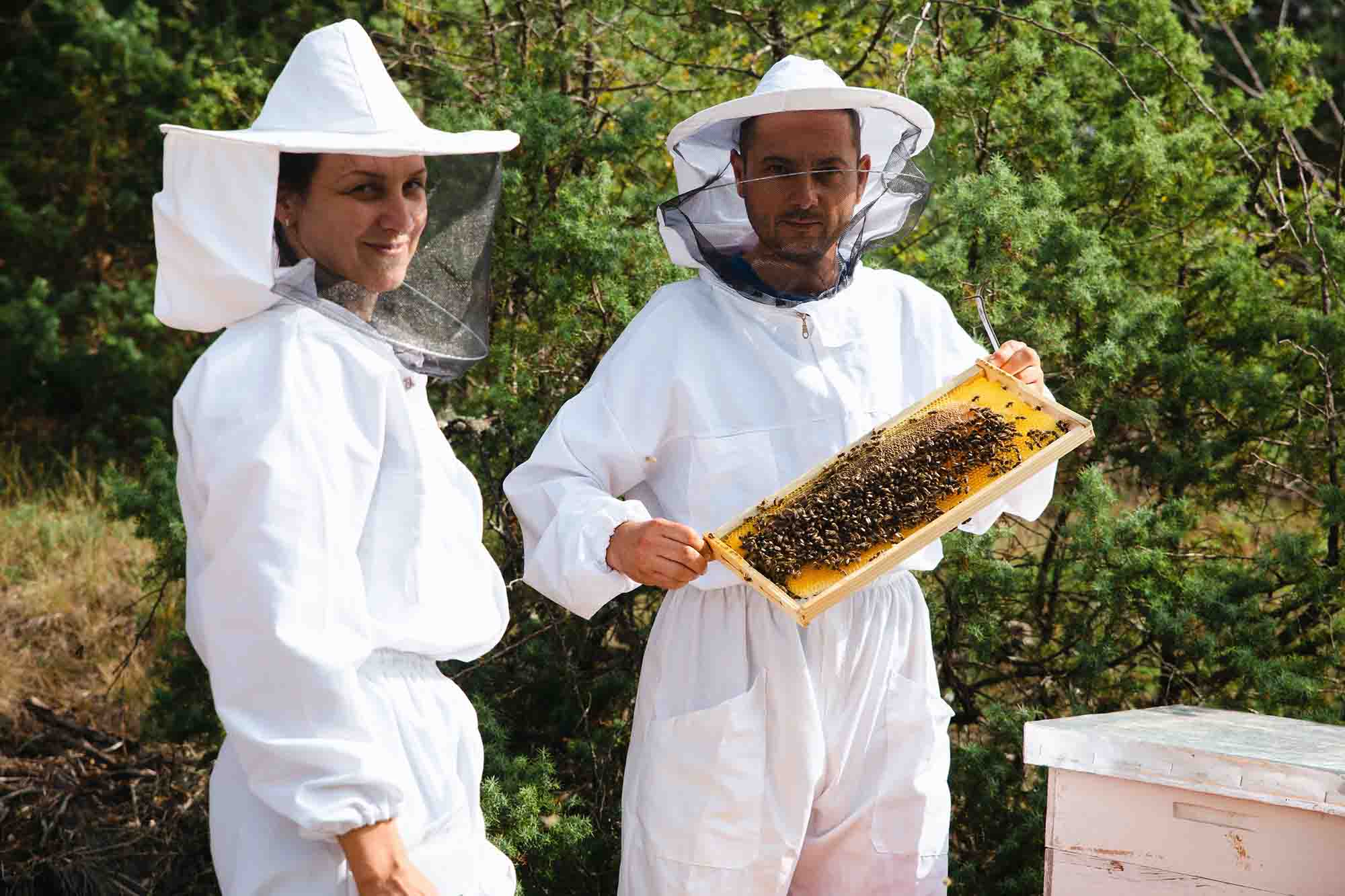 How A Couple Turned Their Small Bee…