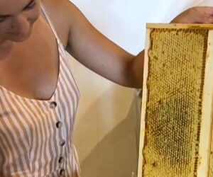 Paris Lawyer Resigns To Focus On Beekeeping In The Countryside