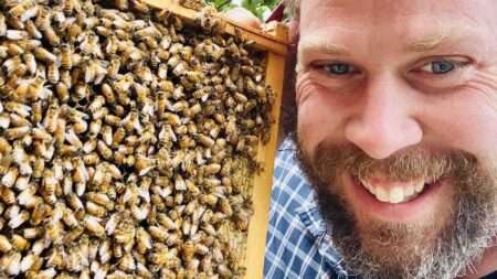 Read more about the article ‘Giving Bees A Helping Hand’ Clip Causes A Stir