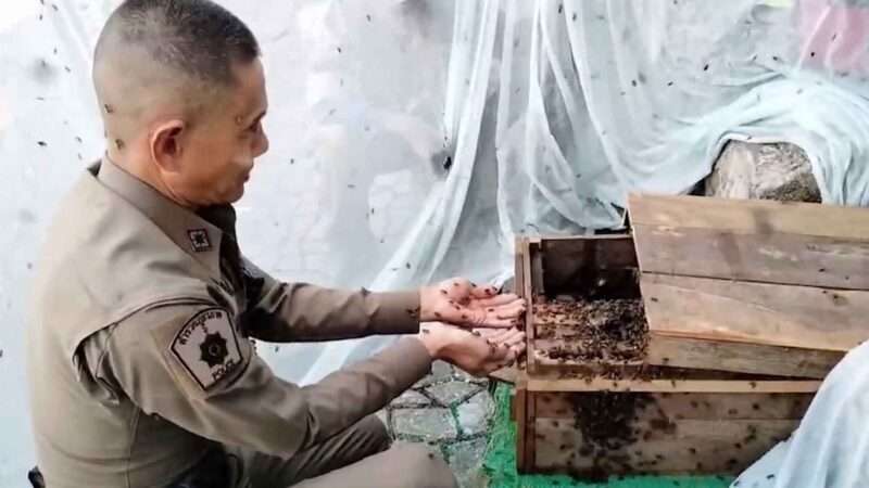 Un-Bee-Lievably Skilled Policeman Finds Fans Worldwide