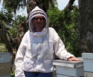Ex-Banker ‘Couldn’t Be Happier’ Making Honey In Florida