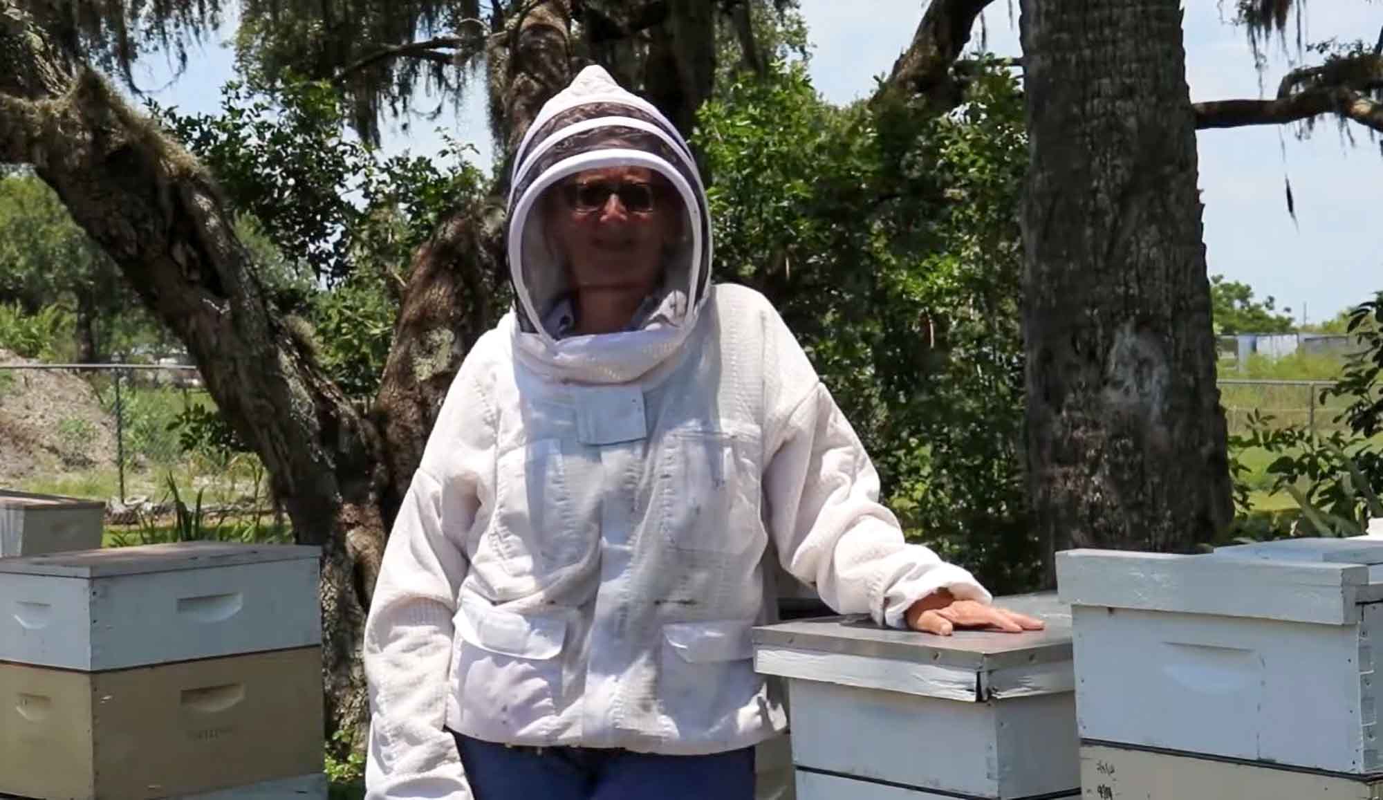 Ex-Banker ‘Couldn’t Be Happier’ Making Honey In…