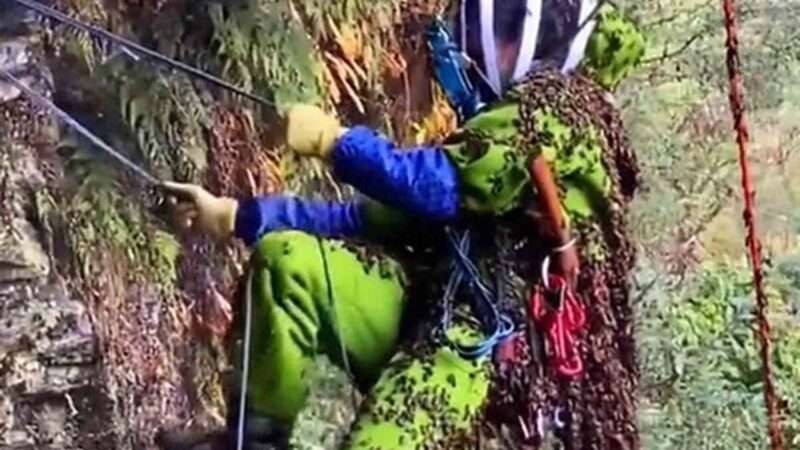 Chinese Cliffhanger Beekeepers Cause A Stir