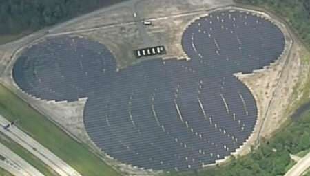 Read more about the article Florida Pollinators Benefit From Disney’s 48,000-Panel Solar Plant