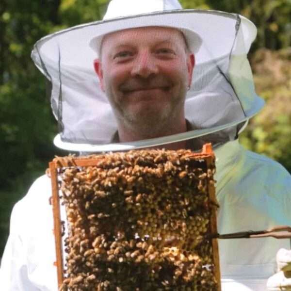 Airport Apiarist Recommends Nesting Aids