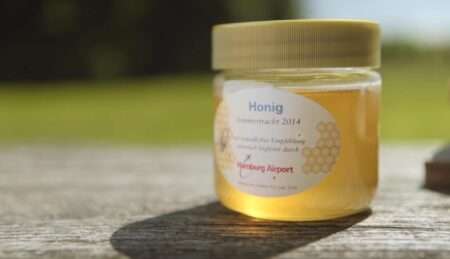 Read more about the article Airports A ‘Perfect’ Location For Hives, Beekeeper Says