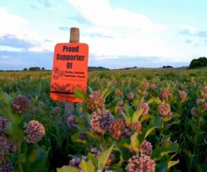 Pollinator Protection NGO Enters Pennsylvania