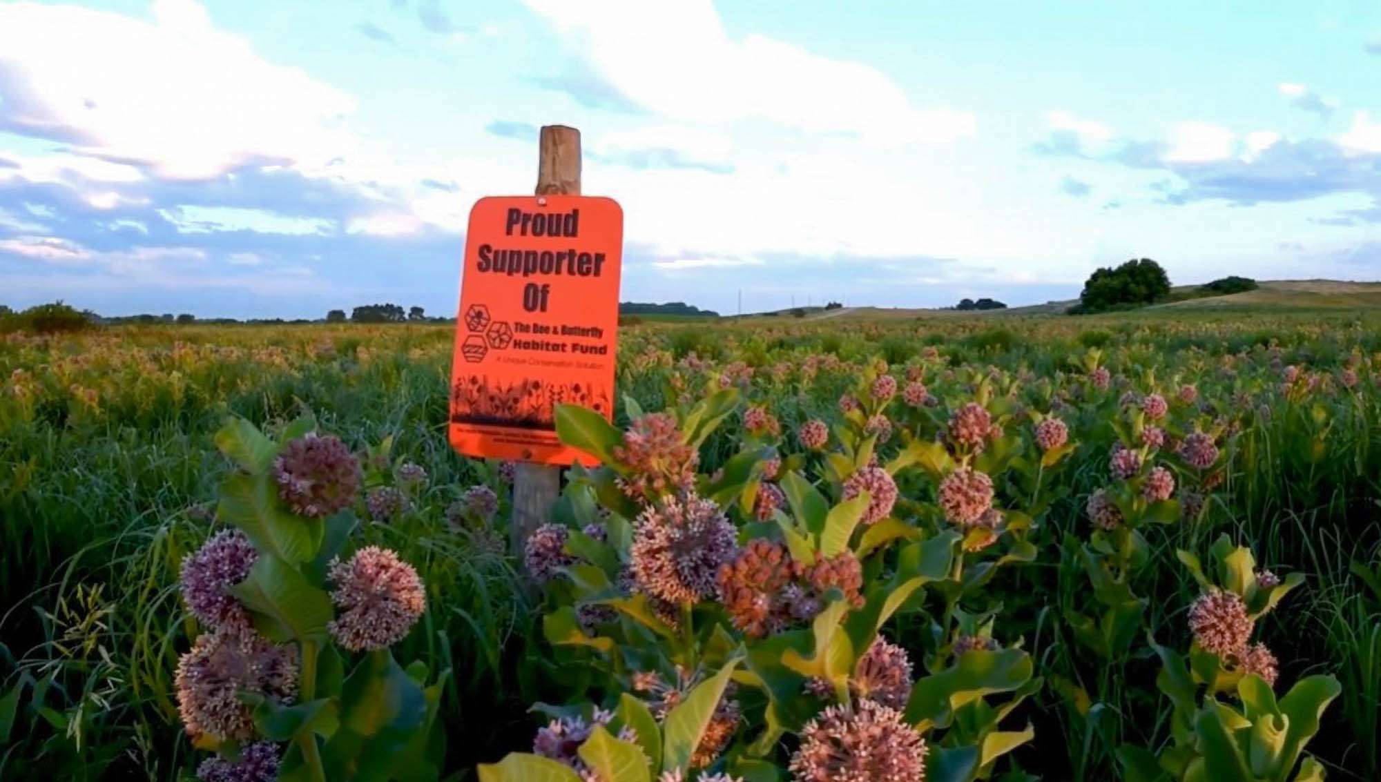Pollinator Protection NGO Enters Pennsylvania
