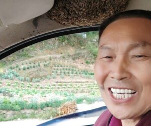 Chinese Man Totally Unimpressed By Bee Swarm In His Car