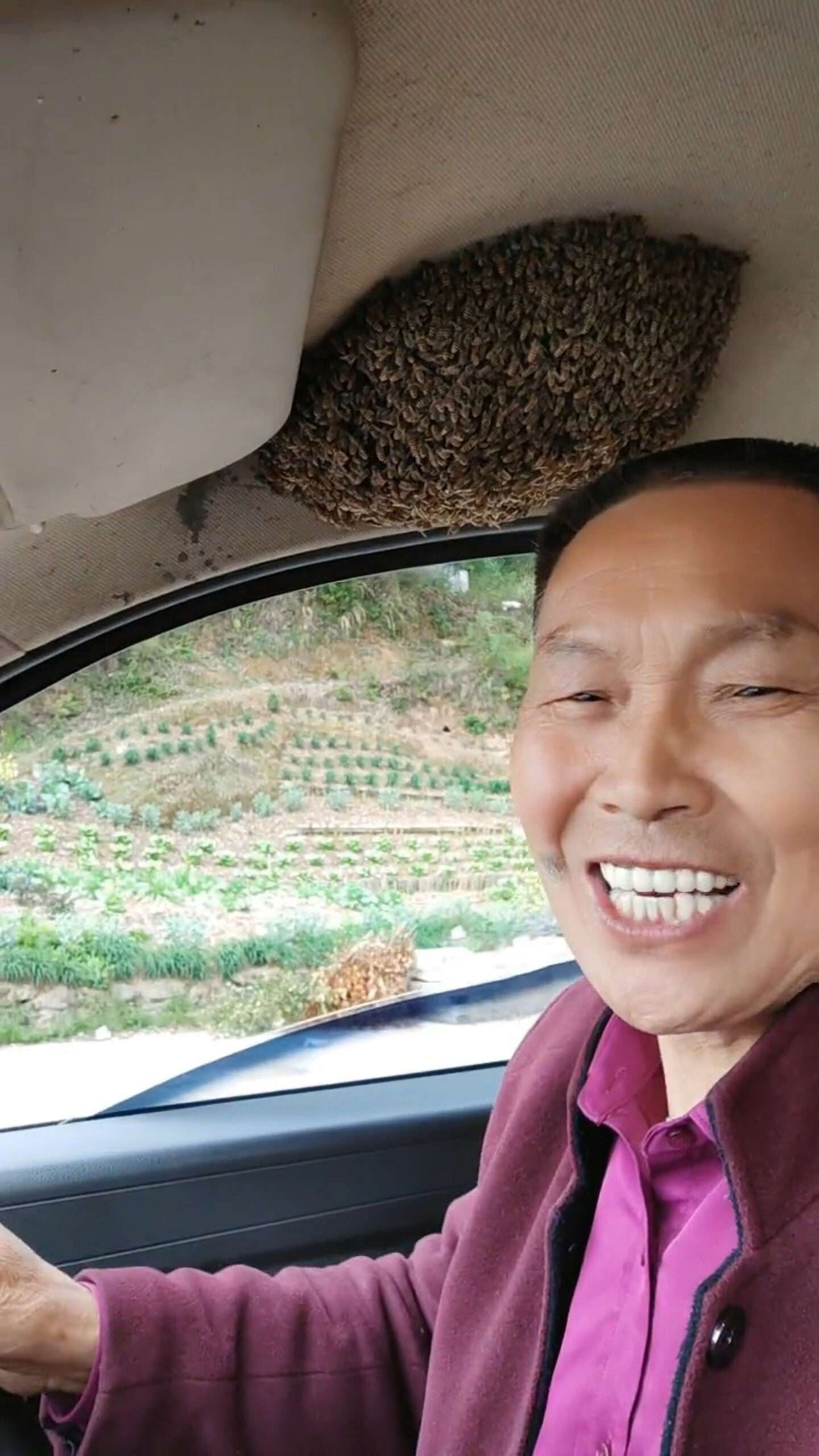 Chinese Man Totally Unimpressed By Bee Swarm…