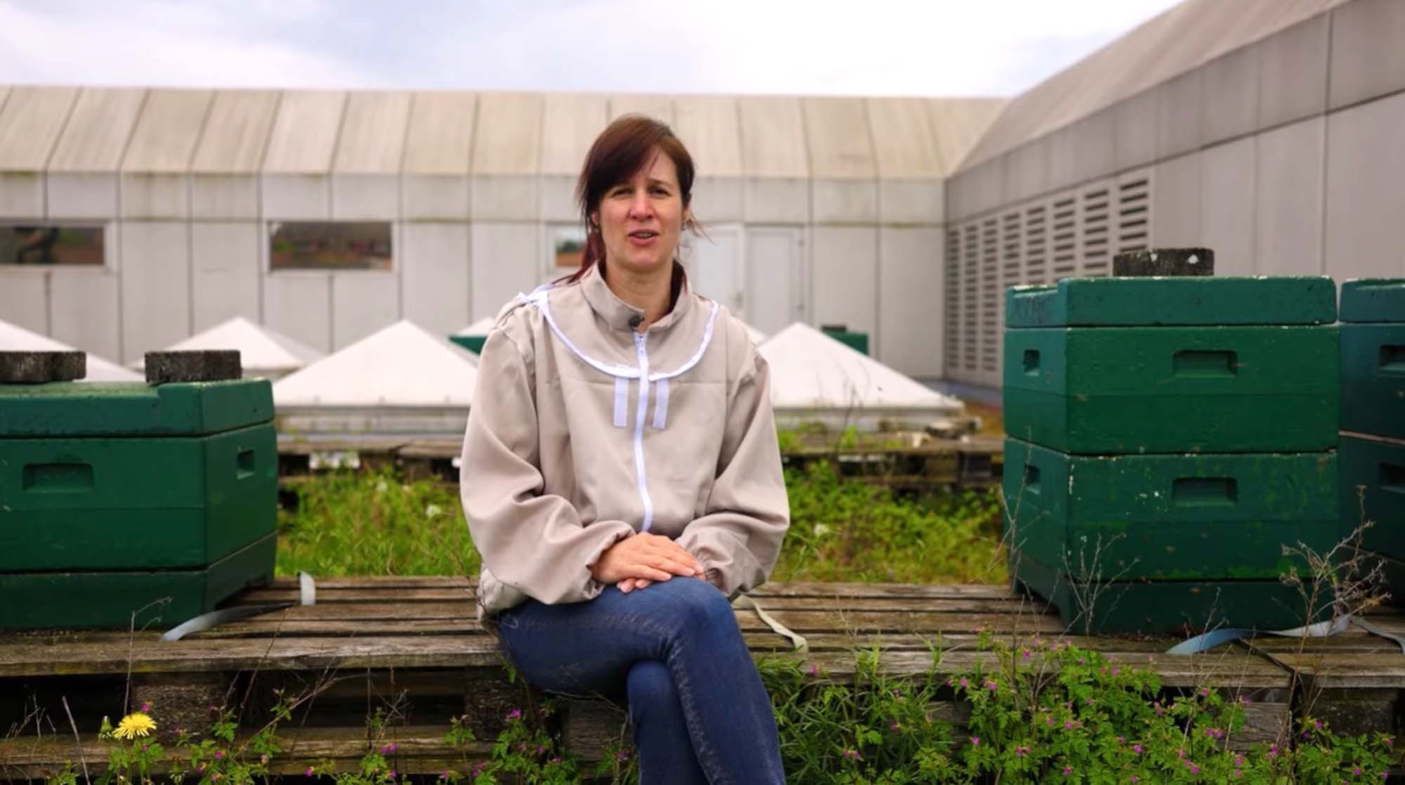 Zurich Rooftop Beekeeper ‘Terrified’ By Biodiversity Decline
