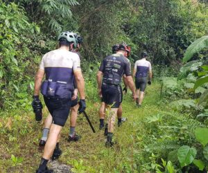Cyclists Lost In Colombian Jungle After Bee Swarm Assault