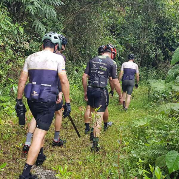Cyclists Lost In Colombian Jungle After Bee Swarm Assault
