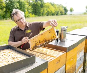 Cold Spring Is Bad News For Lovers Of Austrian Honey