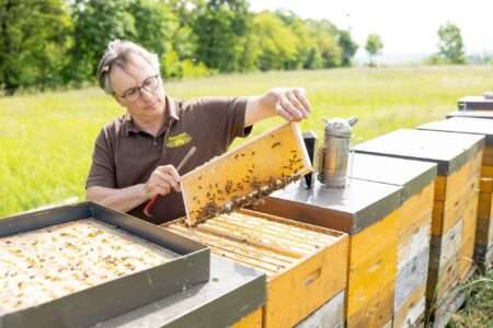 Read more about the article Cold Spring Is Bad News For Lovers Of Austrian Honey