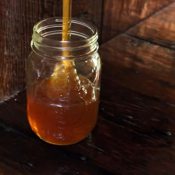Fake Honey Imports ‘Put Europe’s Beekeepers At Risk’