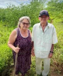 Read more about the article Elderly Couple Dies After Bee Swarm Assault