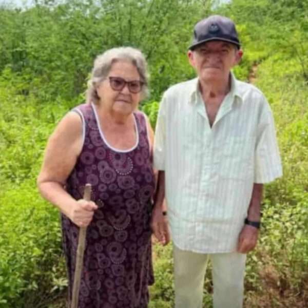 Elderly Couple Dies After Bee Swarm Assault
