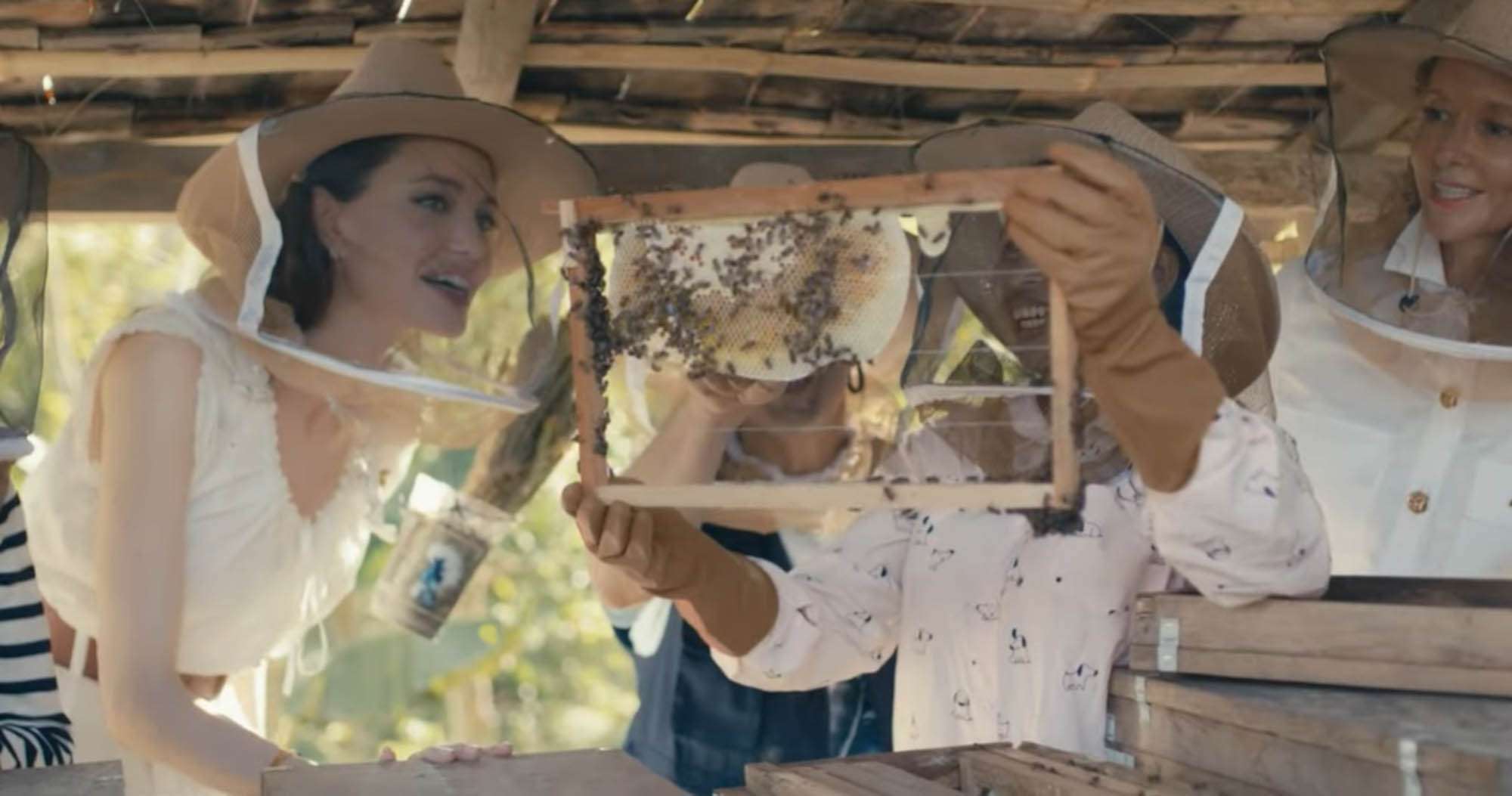 Angelina Jolie Campaigns Against Bee Population Decline
