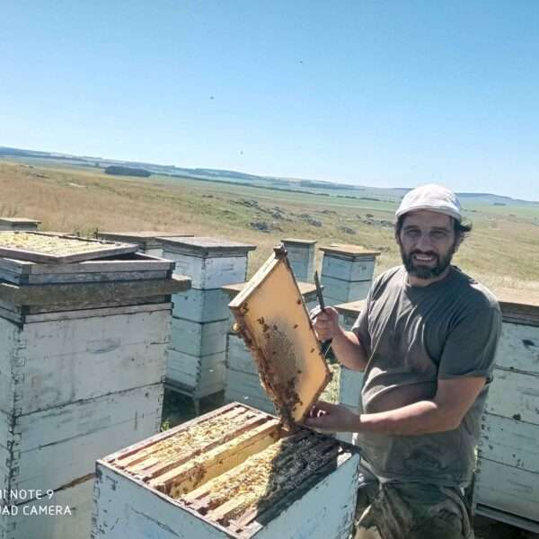 From Quitting Uni To Managing 1,000 Hives: Meet Mauricio, The Tandil Beekeeper