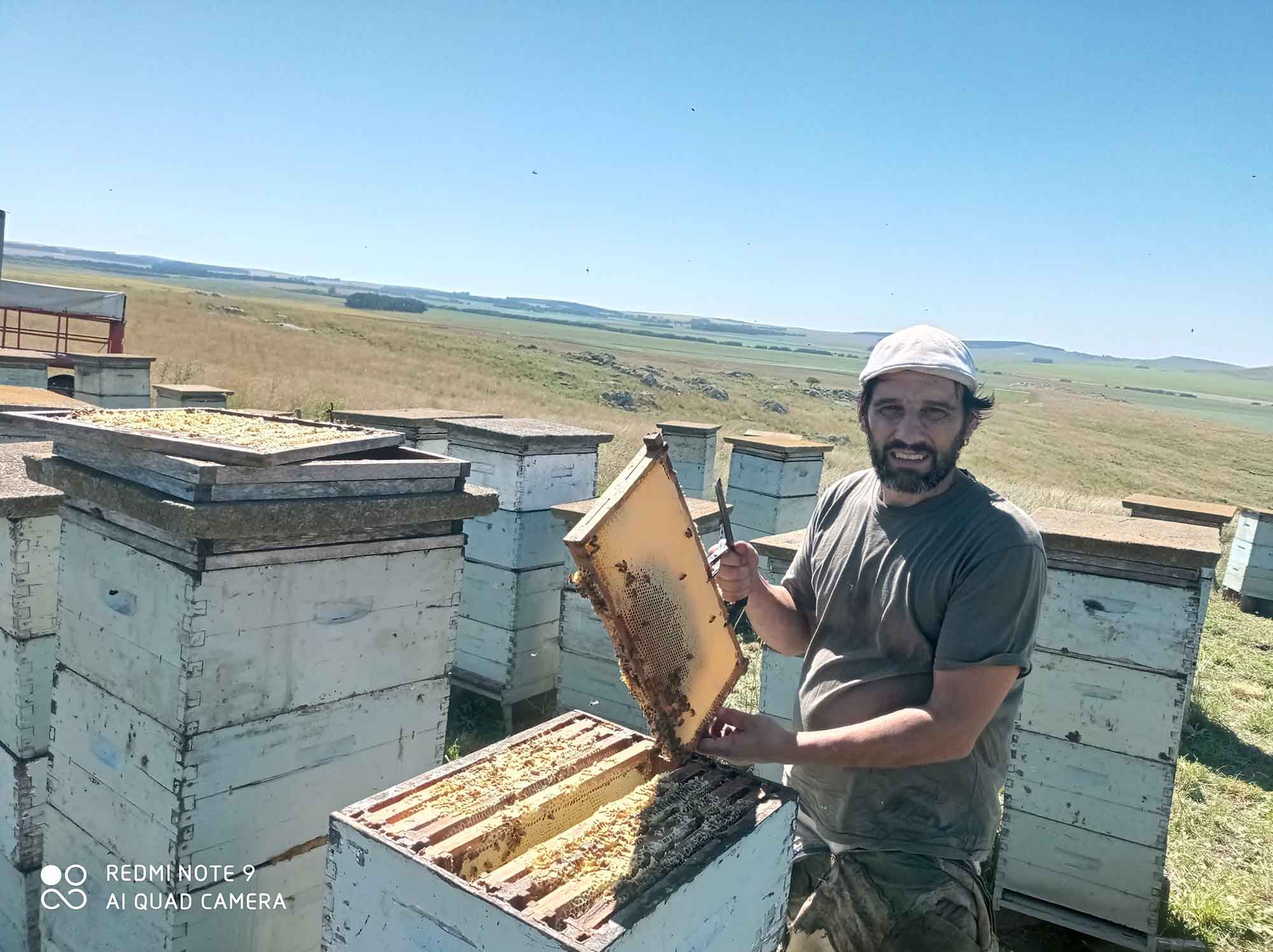 From Quitting Uni To Managing 1,000 Hives:…