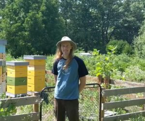 Sustainable Beekeeping Expert Explains Swarm Rescue