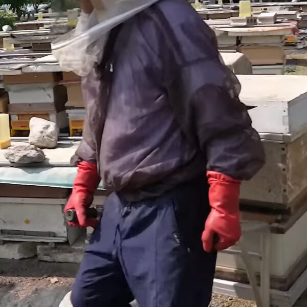 Beekeeper Stabbed As Neighbourhood Row Escalates