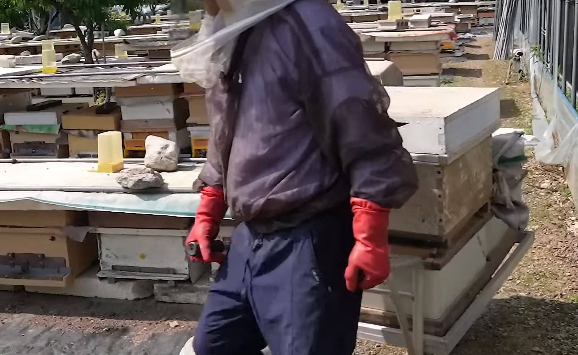 Beekeeper Stabbed As Neighbourhood Row Escalates